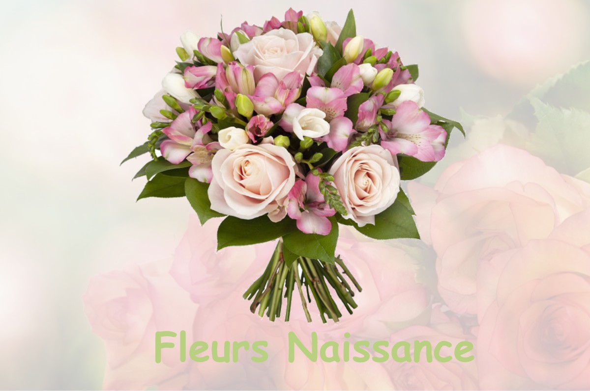 fleurs naissance DOURNON