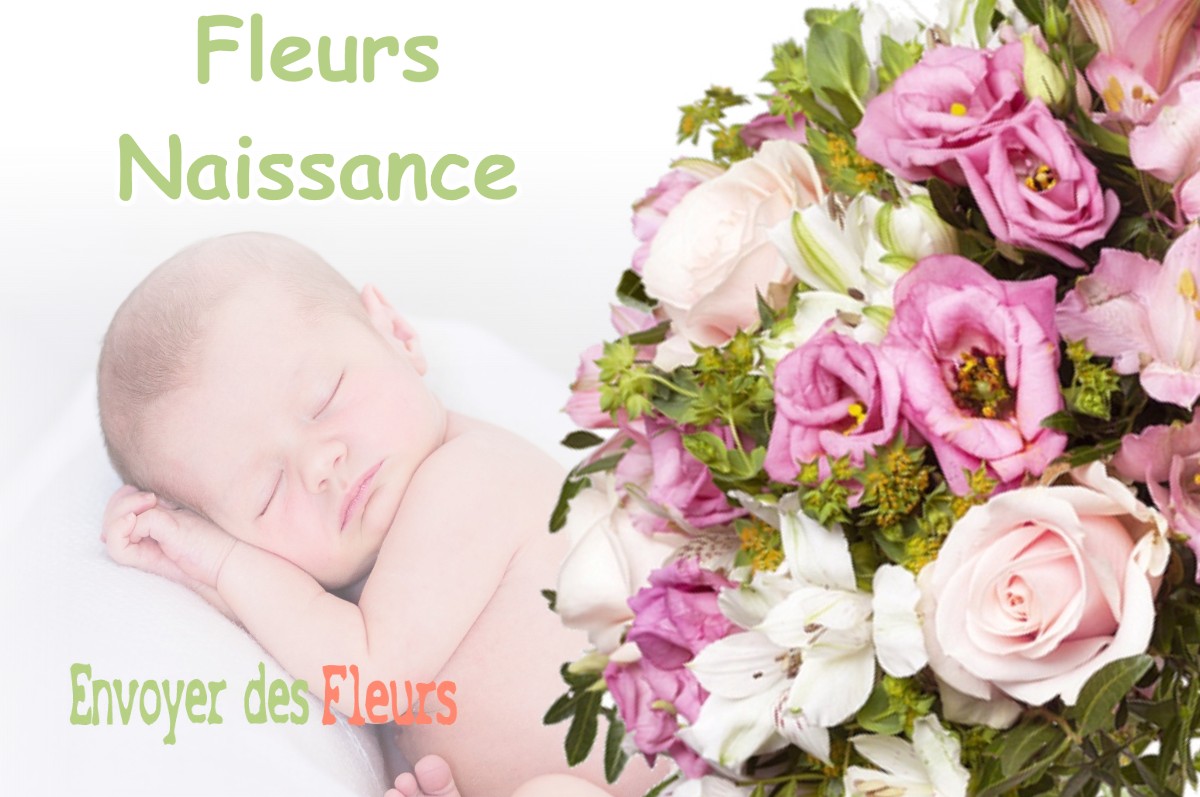 lIVRAISON FLEURS NAISSANCE à DOURNON